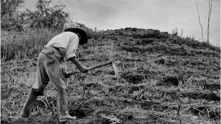 Un Nuevo Escenario Para Los Derechos De Los Campesinos En Colombia