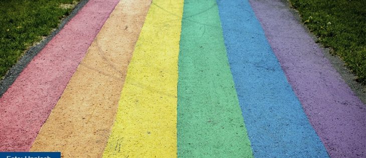 El (no) control de constitucionalidad: matrimonio igualitario en Chile