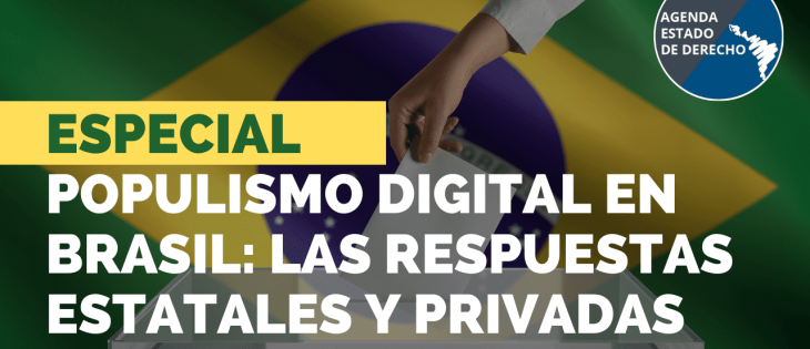 Populismo Digital en Brasil: las respuestas estatales y privadas