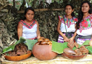 Los derechos de los pueblos indígenas en Costa Rica a la luz del reciente informe del Relator Especial de Naciones Unidas