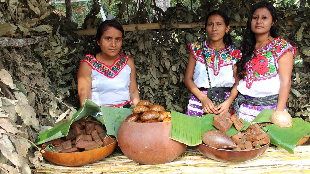 Los derechos de los pueblos indígenas en Costa Rica a la luz del reciente informe del Relator Especial de Naciones Unidas