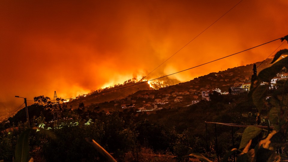 Mega incendios forestales en Chile y derechos humanos: un debate ausente