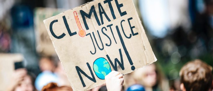 El crimen de ecocidio: ¿desde el Consejo de Europa hasta América Latina?