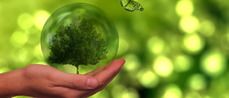 El Acuerdo de Escazú. Tratado clave para enfrentar la crisis climática y de derechos humanos