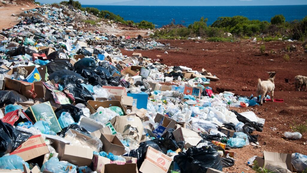 Entrevista a Luis Pedernera sobre el trabajo del Comité de los Derechos del Niño de Naciones Unidas y su impacto en la cuestión climática y medioambiental