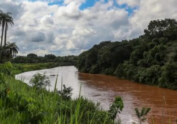 Desastre de Brumadinho: A Responsabilidade de Empresas no Sistema Interamericano de Direitos Humanos