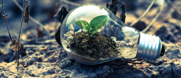 De la promesa a la acción: lo que dejó la COP16 de biodiversidad en Colombia