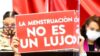 Sangre sin impuestos: Una aproximación desde los derechos humanos a las políticas fiscales de productos menstruales