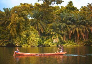 ¿Es posible titular colectivamente zonas de bajamar o bosques de manglar?