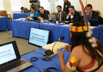 Caso Tagaeri y Taromenane: libre desarrollo de los pueblos, intangibilidad del territorio y respeto al principio de no contacto
