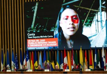 Petróleo sobre sangre: el precio de ignorar a los pueblos en aislamiento y contacto inicial, caso Tagaeri y Taromenane vs. Ecuador ante la Corte Interamericana