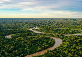 LA NATURALEZA COMO SUJETO DE DERECHOS: UN HITO INTERAMERICANO EN LA OC-32/25