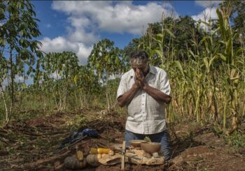 Opinión de la Corte Interamericana de Derechos Humanos sobre la emergencia climática y la ciencia: una reivindicación de un «derecho olvidado» y un llamado a políticas basadas en la evidencia