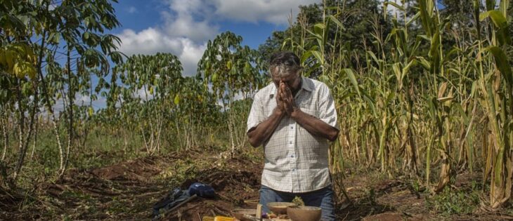 Opinión de la Corte Interamericana de Derechos Humanos sobre la emergencia climática y la ciencia: una reivindicación de un «derecho olvidado» y un llamado a políticas basadas en la evidencia