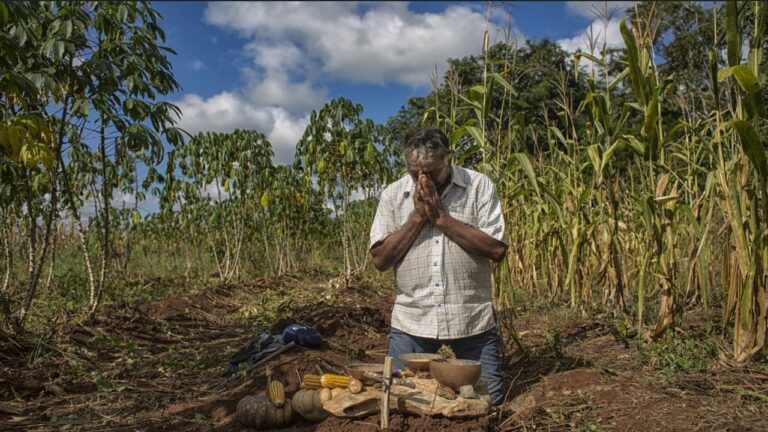 Opinión de la Corte Interamericana de Derechos Humanos sobre la emergencia climática y la ciencia: una reivindicación de un «derecho olvidado» y un llamado a políticas basadas en la evidencia