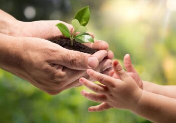 Derechos más allá del presente: la humanidad como comunidad jurídica