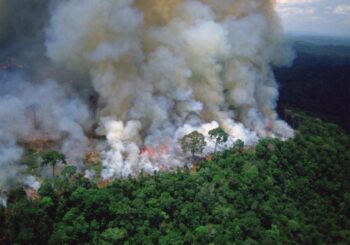 OC-32/25 sobre emergencia climática y derechos humanos: una brújula jurídica para la justicia climática desde América Latina