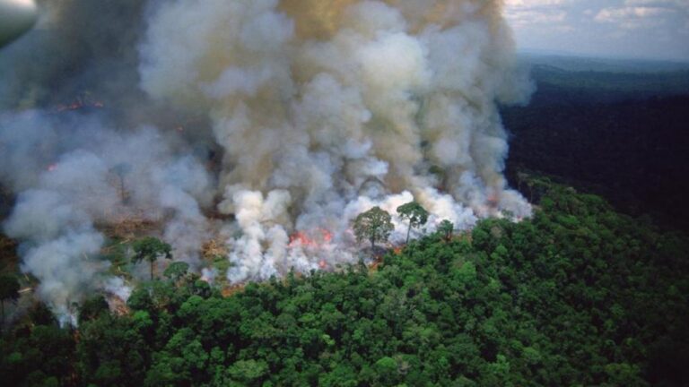 OC-32/25 sobre emergencia climática y derechos humanos: una brújula jurídica para la justicia climática desde América Latina