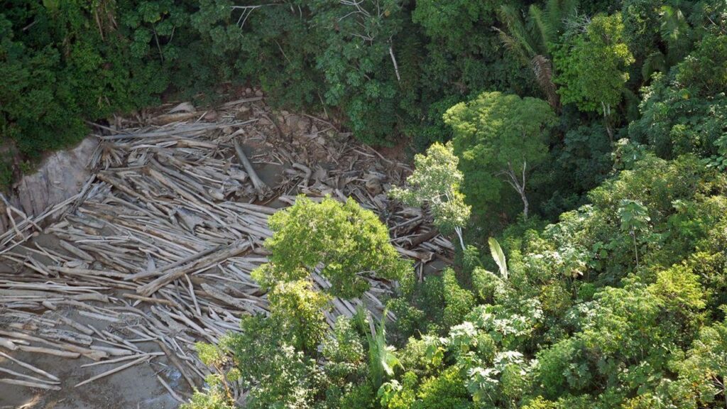 O Novo Modelo de Licenciamento Ambiental no Brasil e os Velhos Interesses Desenvolvimentistas