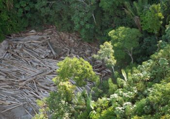 O Novo Modelo de Licenciamento Ambiental no Brasil e os Velhos Interesses Desenvolvimentistas