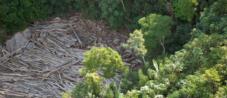 O Novo Modelo de Licenciamento Ambiental no Brasil e os Velhos Interesses Desenvolvimentistas