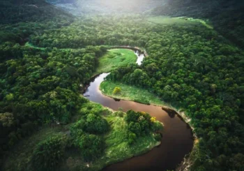 El pro persona y el pro natura: la Naturaleza como “sujeto de derechos” en la jurisprudencia de la Corte IDH
