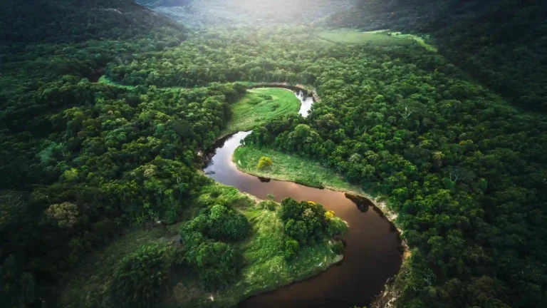 El pro persona y el pro natura: la Naturaleza como “sujeto de derechos” en la jurisprudencia de la Corte IDH