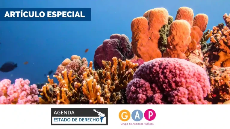 Arrecifes coralinos: el mayor activo del Archipiélago